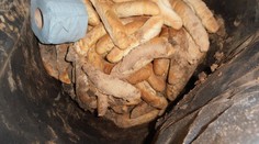 To je humus! Inspektoři zavřeli prodejnu ve Volarech kvůli katastrofální hygieně