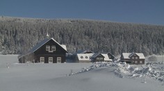 Týdenní předpověd: Bude až 12 °C! Po oteplení se do Česka vrátí mrazy
