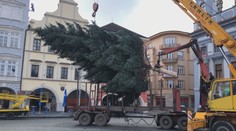 Města a obce zdobí první vánoční stromy. Pochlubte se tím vaším!