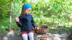 Meteorologové tvrdí, že houby porostou. Je to blbost, kroutí hlavou mykologové