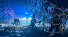 Námraza v Česku zlámala stromy. Hasiči hlásí přes 150 výjezdů v jednom kraji