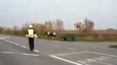 Koňský povoz s autopilotem