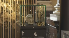 Národní muzeum: Představení světového objevu
