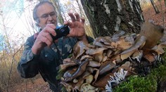 Houbaři si stále nosí z lesa plné košíky. Letošní sezóna houbám přeje