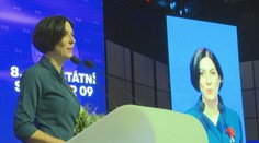 Pod Pekarovou Adamovou se kýve křeslo. Nevyšel jí plán, říká politolog