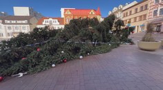 Litvínov zabezpečil vánoční strom. Řetězy a zábradlí se lidem ale nelíbí
