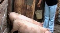 Výměna manželek z ČR a Rumunska má šťávu!