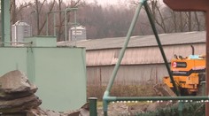 Na Havlíčkobrodsku likvidovali slepice. Potvrdila se u nich ptačí chřipka