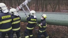 Silný vítr lámal stromy! Bez elektřiny skončilo kolem 19 tisíc domácností