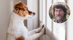 Konec karantény! Rady, jak připravit pejska na náš odchod do práce