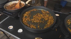 Hmyzí hody v pražské zoo. Návštěvníci mohli ochutnat cvrčky, červy či sarančata
