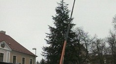 Slovák se ZABIL při výzdobě vánočního stromu