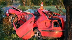 Policisté kácejí stromy kvůli smrtelným nehodám. Ekologové proti