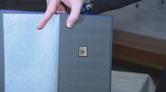 Červený mauricius v Česku. Vzácná známka bude k vidění v Praze