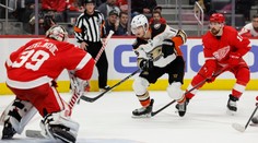 Zadina a Hronek asistovali, jejich Detroit ale padl. Prohrála i Vejmelkova Arizona