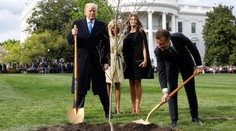 Trump a Macron zasadili strom přátelství. Ten hned uschnul