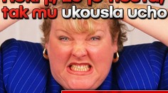 Řekl jí, že je tlustá, tak mu ukousla ucho. DALŠÍ ÚTOKY