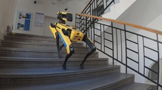 Vědci z ČVUT dokončili vývoj psích robotů. O autonomní roboty má zájem armáda