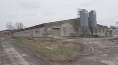 Na Pardubicku je další ohnisko ptačí chřipky. Opět se jedná o velký chov