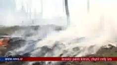 VIDEO: Lesníci pálili klestí, chytila téměř celá paseka!