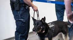Pavoučí pohroma na letišti. Nemohli jsme tomu uvěřit, řekl celník po otevření kufru