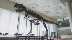Před 200 lety popsal prvního dinosaura. Revoluční nález spustil pátrací horečku