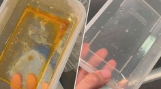 Snadný trik pro všechny "krabičkáře". Takhle dobře box umyjete i bez myčky