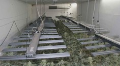 Policie dopadla dva muže, kteří měli vlastnit pěstírnu marihuany na Přerovsku