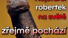 Nejstarší robertek na světě zřejmě pochází ze Švédska