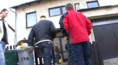 Utýrala dva psy. Dostala podmínku
