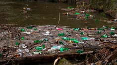 Národní park je plný odpadků. Řeku Kamenici zamořily plasty