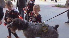 Psi vychovaní u nás zajišťují bezpečnost v NHL. Reagují jen na povely v češtině