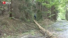 Šluknovskem se přehnala silná vichřice, možná i tornádo
