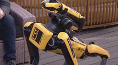 Robotický pes z ČVUT prozkoumal pražské podzemí, pořídil při tom 3D mapu