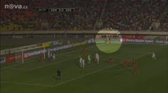 Psí teror v Česku! Smečka útočí na zvířata i lidi, kdo to zastaví?