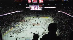 KDYŽ PRŠÍ PLYŠÁCI: V Calgary jich naházeli na led 20 tisíc. VIDEO