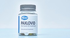 Tabletky od Pfizeru fungují proti omikronu. Česká vláda je chce taky