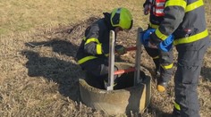 Přibývá nezabezpečených skruží. Stávají se smrtícími pastmi pro zvířata