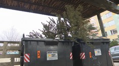 Lidé začínají vyhazovat vánoční stromky. Města k jejich likvidaci mají svá pravidla