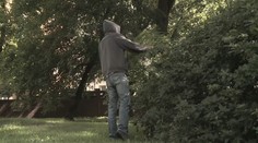 Muž se měl obnažovat v parku plném dětí. Policii ho pomohla dopadnout učitelka