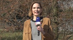 Počasí bude v týdnu náladové, říká meteoroložka. Varuje před pylem ve vzduchu