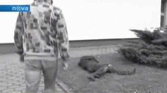 VIDEO: Okradl muže, který zkolaboval