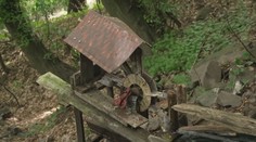 Pohádkový les v Ústí neustále někdo ničí. Policie nic nezmůže, když jsou to děti, říká autor