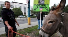 FOTO: Nedělejte z lidí osly, žádají poslance slovenští levičáci