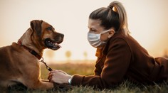 Vědci odhalili nový koronavirus. Lidé se jím zřejmě nakazili od psů