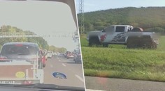 VIDEO: Řidič si poradil s kolonou po svém. S terénním autem ji objel po poli