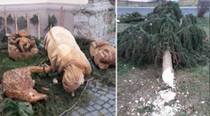 Zničený betlém, podťatý vánoční strom. Vandalové řádí!