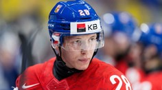Na juniorské soupisce je zatím 22 hráčů, místo už jen pro tři. Kapitán je Šalé