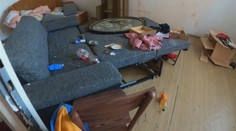 Šluknov sužují švábi. Byty jsou jich plné a s dětmi se dostávají i do škol