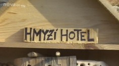 HMYZÍ HOTEL pomáhá proti ŠKŮDCŮM